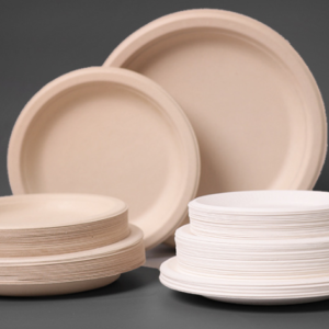 Sugarcane Pulp Tableware